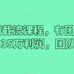 2024最新截流课程，有团队做截流一个月35万利润，团队4个人