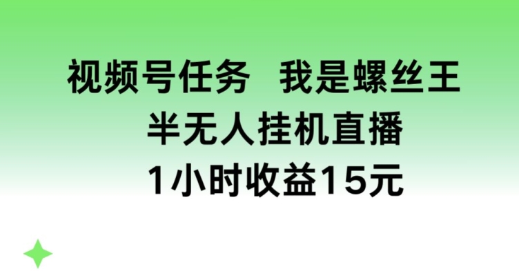 视频号任务，我是螺丝王， 半无人挂机1小时收益15元【揭秘】-全网创业项目资源库