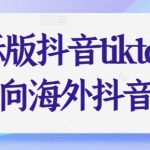 国际版抖音tiktok课程，向海外抖音出发