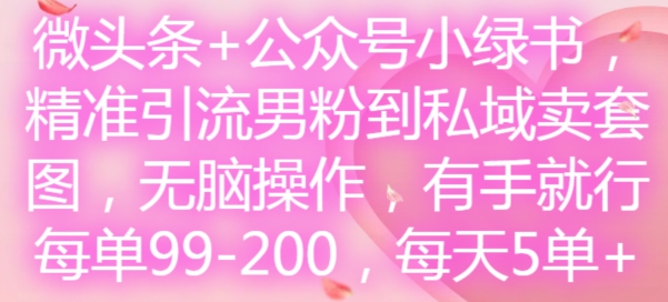 微头条+公众号小绿书，精准引流男粉到私域卖套图，无脑操作，有手就行，每单99-200，每天5单-全网创业项目资源库