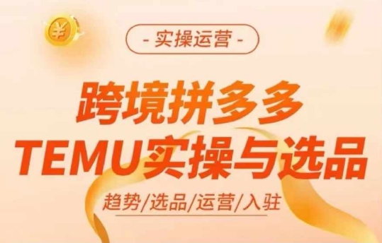 跨境拼多多TEMU实操与选品，多多temu跨境选品运营实操-全网创业项目资源库