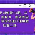 小红书训练营13期，从定位、到起号、到变现全路径，带你快速打通爆款任督二脉