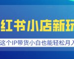 小红书小店新玩法，蹭这个IP带货，小白也能轻松月入过W【揭秘】