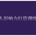 个人影响力打造训练营，掌握公域引流、私域运营、产品定位等核心技能，实现从0到1的个人IP蜕变