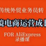 跨境电商速卖通运营课，​运营方法论+后台实操，逻辑清晰