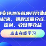 AI短视频变现训练营项目合集教程，直接无脑搞起来，赚取流量分成、广告、定制、收徒等收益（0302更新）