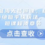 淘宝蓝海无货源课，精细运营，拒绝短平快玩法，拒绝简短课程凑章节