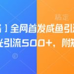【引流必备】全网首发咸鱼引流黑科技，单日曝光引流500+，附矩阵玩法【揭秘】