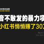 抖音不敢发的暴利项目，在小红书悄悄挣了30W