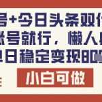 公众号+今日头条双代运营，有账号就行，单日稳定变现8张【揭秘】