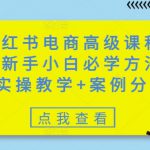 小红书电商高级课程，新手小白必学方法，实操教学+案例分析