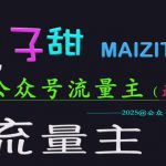 麦子甜2025公众号流量主全网最新玩法核心，手把手教学，成熟稳定，收益有保障