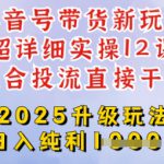 2025全新升级抖音带货玩法，一天纯利四位数，从剪辑到选品再到发布投流，超详细玩法揭秘