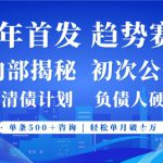 2025年首次公开，真正的事业型赛道，客咨不断，单月轻松破W