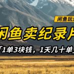 闲鱼卖纪录片1单3块钱，1天几十单，项目稳定有潜力