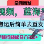 AI猫咪视频蓝海赛道，操作简单，直接海外搬运，简单去重，操作简单，有手就行日入3张