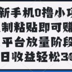 最新手机0撸小项目，复制粘贴即可挣钱，平台放量阶段，单日收益轻松3张+【揭秘】