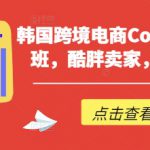 韩国跨境电商Coupang高阶班，酷胖卖家，必学课程