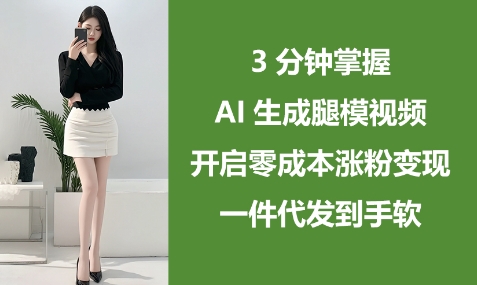 3分钟掌握AI生成腿模视频，开启零成本涨粉变现，一件代发到手软-林文副业站