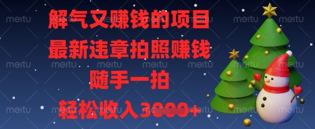 解气又挣钱的项目，最新违章拍照挣钱，随手一拍，轻松收入数张【揭秘】-全网创业项目资源库