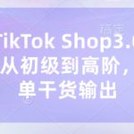 东南亚TikTok Shop3.0课程，TK小店​从初级到高阶，运营出单干货输出