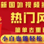 2025最新视频搬砖项目，热门风口，简单去重剪辑，小白也能轻松月入过W