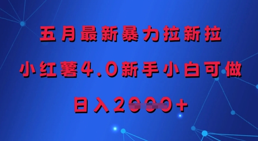 五月最新暴力拉新拉，小红薯4.0新手小白可做，日入多张-林文副业站