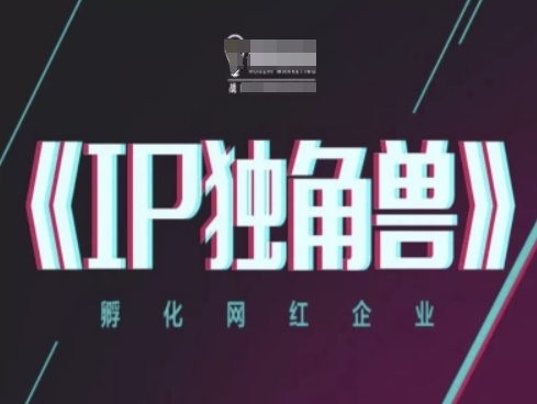 IP独角兽，孵化网红企业，ip教程-林文副业站