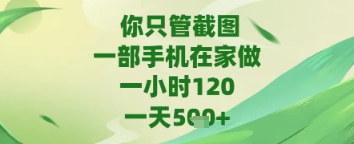 你只管截图，一部手机在家做，苹果安卓都可以，一天5张+【揭秘】-林文副业站