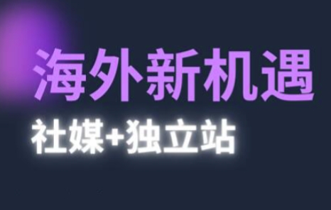 2025出海新机遇(社媒+独立站)，海外新机遇，实现独立站的高效运营与出海-林文副业站
