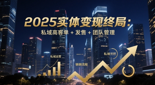 2025实体变现终局：私域高客单+发售+团队管理-林文副业站