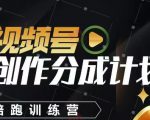 视频号创作分成计划陪跑训练营，手把手教会你如何制作视频，细水长流型项目