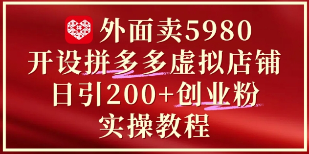 外面卖5980开设拼多多虚拟店铺：单日引流200+创业付费粉实战教程-林文副业站