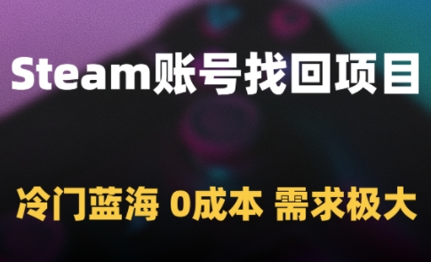 Steam账号找回项目，冷门蓝海，0成本，需求极大-林文副业站
