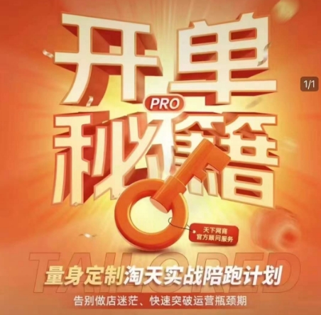 淘宝开单秘籍PRO，量身定制淘天实战陪跑计划，告别做店迷茫、快速突破运营瓶颈期（更新6月）-林文副业站