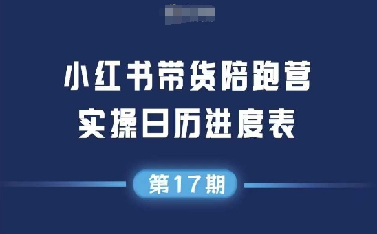 小红书第17期带货陪跑营，不囤货，无不直播，无不投流，通过选品+笔记内容+测品+笔记铺量+矩阵运营打爆款-林文副业站