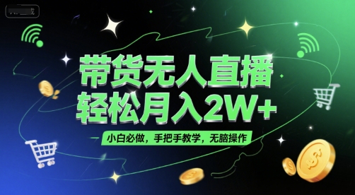 带货无人直播，轻松月入2W+，小白必做，手把手教学，无脑操作(附学习资料)-林文副业站