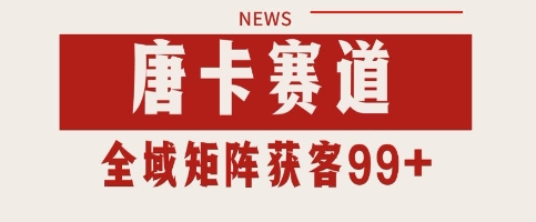 唐卡赛道私域引流获客 自热矩阵SOP日引流99+精准客资【揭秘】-林文副业站