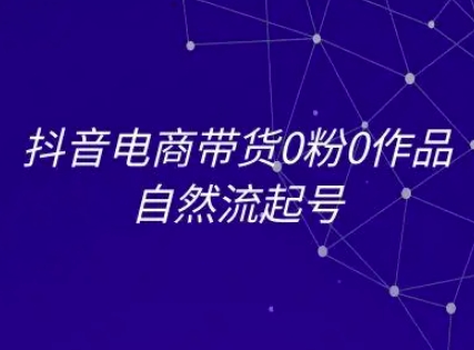 抖音电商带货0粉0作品自然流起号，抖音电商教程-林文副业站
