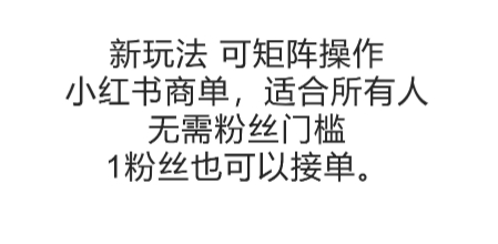 可矩阵操作，小红书商单新玩法，适合所有人，无需粉丝门槛，1粉丝也可以接单-林文副业站