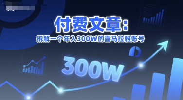付费文章：拆解一个年入300W的喜马拉雅账号-林文副业站