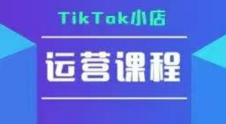 TikTok小店运营实操课，TK​小店运营实操+疑难答疑-林文副业站