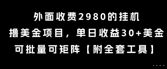 外面收费2980的挂G撸美金项目，单日收益30+美金，可批量可矩阵【揭秘】-林文副业站