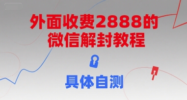 外面收费2888的微信解封教程，具体自测-林文副业站