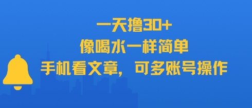 一天撸30+，像喝水一样简单，手机看文章，可多账号操作-林文副业站