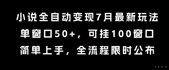 小说全自动变现7月玩法，单窗口50+，可挂100窗口，简单上手，全流程限时公布【揭秘】-林文副业站