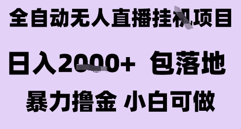 最新全自动抖音无人直播挂G项目，日入2k+ 包落地暴力撸金，小白可做【揭秘】-林文副业站