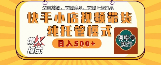 快手小店托管代运营，无需剪辑，无需选品，无需上传作品，全程无需操作，轻松月入5k+【揭秘】-林文副业站