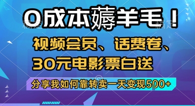0成本薅羊毛!视频会员、话费卷、30元电影票白送，分享我如何靠转卖一天变现5张+【揭秘】-林文副业站