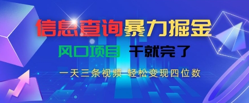 信息查询暴力掘金，一天三条视频，轻松变现四位数，风口项目干就完了【揭秘】-林文副业站